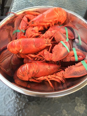 No lobsters were harmed during the making of this T-pisode. No, I lied. We boiled 36 of them and 35 of them were very delicious. We let one of them loose in the pool to scare the kids. THAT was fun.