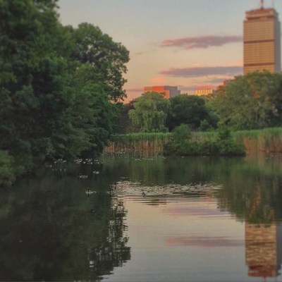 I got the geese! Geese! Geese! I got the geese! Geese! Geese! Get it??? LOLzzzzz.